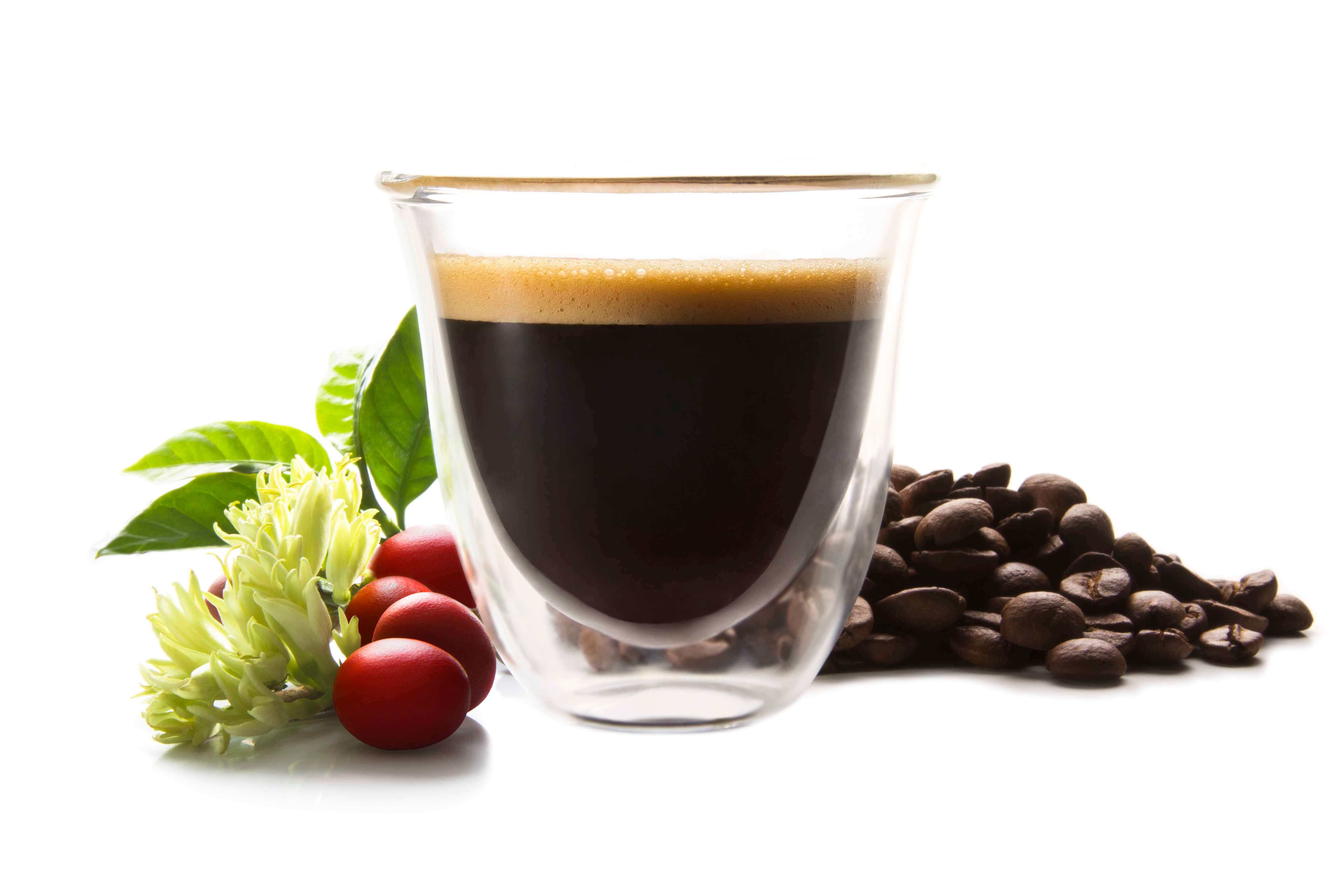 分享咖啡資訊：【營養學博士談咖啡】咖啡的膽肝腸胃：解便秘、降低膽結石機率